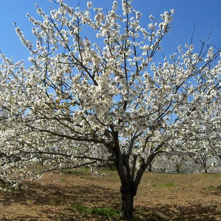 Hotel Casa Rural Finca Cerezos Jaraiz de la Vera