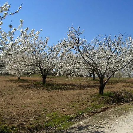 Casa Rural Finca Cerezos Hotel
