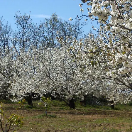 Hotel Casa Rural Finca Cerezos Jaraiz de la Vera
