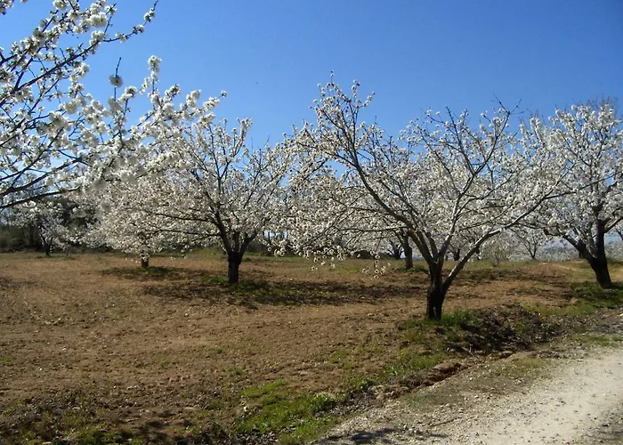 Casa Rural Finca Cerezos Отель