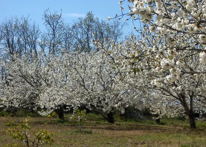 Отель Casa Rural Finca Cerezos Хараис-де-ла-Вера